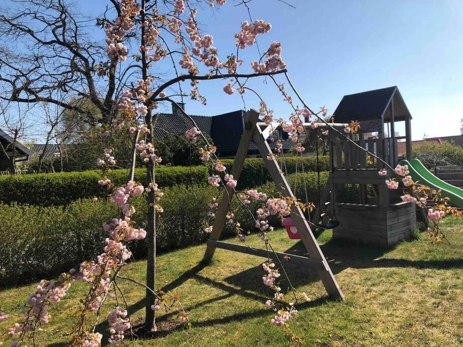Villa Lyckehusen Löddeköpinge Εξωτερικό φωτογραφία